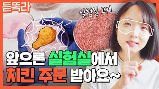 앞으로 치킨 주문할 때는 세포 실험실로 세포 하나로 고기를 만드는 시대🍗 [upl. by Avehsile348]