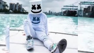 Marshmello amp AnneMarie  FRIENDS  SlowedReverb [upl. by Zebulen]