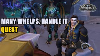 Many Whelps Handle It Quest WoW [upl. by Pegma935]