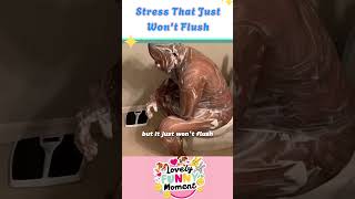 Stress That Just Wont Flush  Relatable Funny Moment viralvideo funny [upl. by Lorianne333]