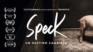 Speck — Un Destino Cambiato  il FILM di Essere Animali [upl. by Asyla]