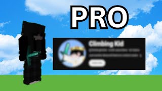 popular pro minecraft settings [upl. by Novart]