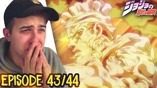 WHY ARAKI WHYYY😭JoJos Bizarre Adventure Episode 43 amp 44 REACTION  REVIEW STARDUST CRUSADERS [upl. by Syman341]