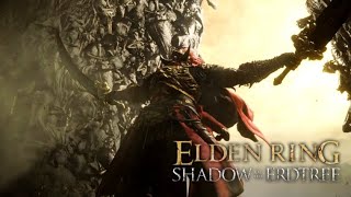 Elden Ring  Promised Consort Radahn No Damage Boss Fight Milady No Parry [upl. by Lazaro]