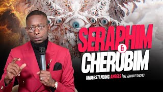 The difference between Cherubim and Seraphim  Miz Mzwakhe Tancredi [upl. by Pontone]