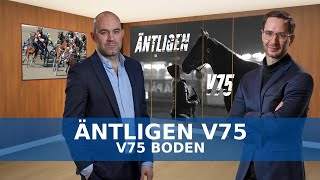 V75 tips Boden  Äntligen V75  Adielsson quotKan inte komma ihågquot [upl. by Sueaddaht384]