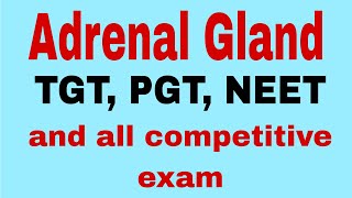 Adrenal Gland Adrenal Cortex Adrenal medullaTGTPGTneetbiology BScMSc biology [upl. by Pontus]