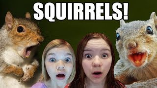 Squirrels Loose in the House [upl. by Akaenahs641]