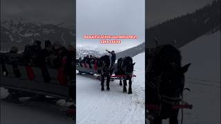 Sleigh Rides in Lake Louise shorts winter snow outdoors short lakelouise cold canada fun [upl. by Nairahcaz451]