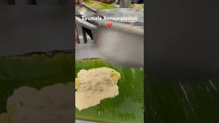 Tirumala Morning Free Tiffin At Vengamamba Annaprasada Complex❤️ tirumala shorts [upl. by Bellaude]