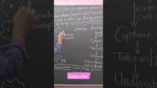 Nutrition in amoeba and paramecium class10 biology [upl. by Sayed]