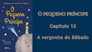 O Pequeno Príncipe  Capítulo 12 Leitura comentada [upl. by Millwater732]