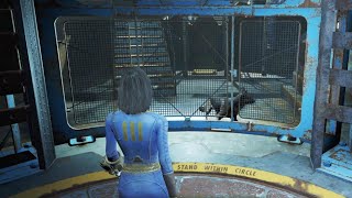 Fallout 4 Get Dogmeat inside Vault 111 for Cryolator ⭐ Legendary Weapon fypシ fyp ps5 ps4 gaming [upl. by Dennison834]