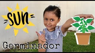 ¿Como hacer un GERMINADOR 🌱  Actividades para niños [upl. by Ewart]