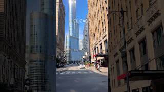 CHICAGO 🇺🇸 usa illinois chicagoland usashorts chitown travel chicago usatravel usashorts [upl. by Pollyanna]