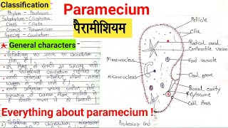 Paramecium bsc 1st year  पैरामीशियम का नामांकित चित्र  paramecium bsc 5th semester paramecium bsc [upl. by Elisha354]