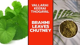 VALLARAI KEERAI THOGAYAL  VALLARAI KEERAI RECIPE IN TAMIL CHUTNEY THUVAYAL RECIPE BRAHMI RECIPE [upl. by Kimura]