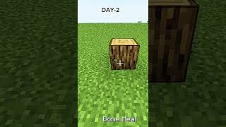 day2 of tree grow shorts mimecraft tree trending [upl. by Ynnavoig]