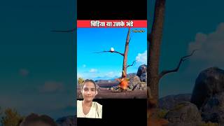 Ped par anda 🥚🥚☺️☺️ amazingfacts voodoofactz amazing factsinhindi ytshorts viralvideo [upl. by Elocin]