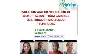 Dr Shruthi SD Students project aiming towards isolation of bacteria having Biosurfactant property [upl. by Alfi570]