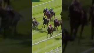 0335 CURRAGH 20240915 favourite esy esy won BRADSELL 2to1💰💰💰💵🤑💵🤑💵🤑💵 [upl. by Corsetti971]