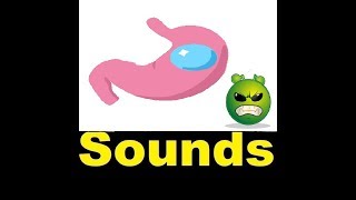 Stomach Growling Sound Effects All Sounds [upl. by Lipscomb]