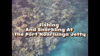 Snorkelling at Port Noarlunga Jetty [upl. by Sitruc]