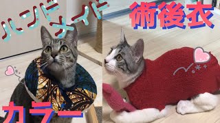 【ハンドメイド】猫のカラーと術後衣を手作り☆避妊手術の準備 [upl. by Inatirb566]