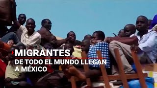 ¡DE TODO EL MUNDO  Miles y miles de MIGRANTES llegan a México [upl. by Ahsiuqel]