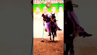 Neza Bazi In Pakistan 2024 nezabazi horseriding horselover gujarkhan pothwar mirzaadeelbaig [upl. by Lebasiairam]