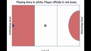 Netball Umpire Training  Playing Areas [upl. by Iover731]