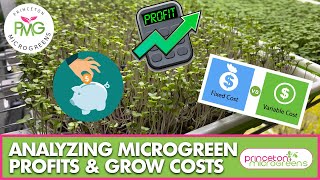 Analyzing Microgreen Profits amp Grow Costs [upl. by Yenal]