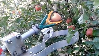 Automatic fruit picker demonstration by FF Robotics  IFTA 2017 [upl. by Oinotna]