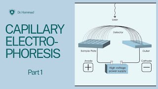 Capillary Electrophoresis introduction instrumentation  working and applications [upl. by Cleti]