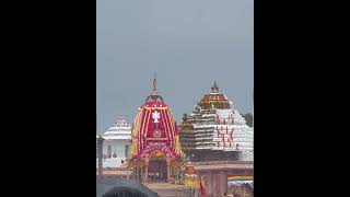 Jagannath Rath Yatra 2024 travel jagannath rathyatra krishna puri odisha rathyatra [upl. by Schluter]