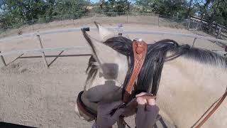 GOPRO SZARA GETTING REACQUAINTED IN THE ARENA NERVOUS RIDER EQUESTRIAN TRAINING PART 1 [upl. by Farrison890]