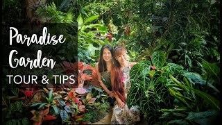 SUPER LUSH Tropical Garden TOUR amp 12 Plant Care Tips with Junie Lee 1000 plants [upl. by Anicnarf]