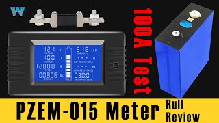 Full Review of PZEM015 PZEM 013 0200V 0300A DC Energy Voltage Current Capacity Meter [upl. by Najtsirk]