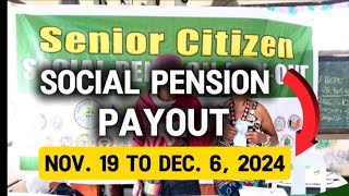 ✅1K MONTHLY SOCIAL PENSION PAYOUT SCHEDULE FOR SENIORS MULA NOV 19 TO DEC 6 2024 [upl. by Dnarb]