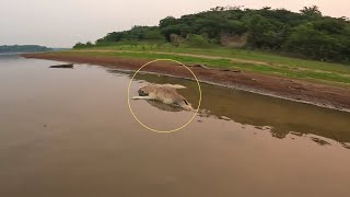 DÁ MEDO MORTO IMAGINA VIVO MAIS UMA PESCARIA NO AMAZONAS [upl. by Korie179]