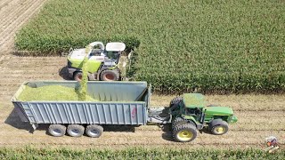 Chopping Corn Silage near Greensburg Indiana [upl. by Crenshaw]