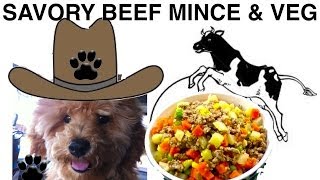 Savory Beef Mince DIY easy Dog Food Dinner  a tutorial by Cooking For Dogs [upl. by Kylie86]