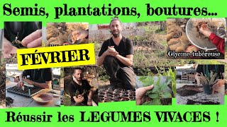 Réussir ses légumes vivaces Semis plantations boutures en Février [upl. by Hpeseoj]