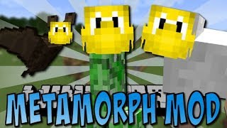 MetaMorph Mod 1122  Minecraft [upl. by Stilla]