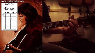 How To Play quotFOUNTAINEBLEAUquot by Neil Young  Acoustic Guitar Tutorial on a CG Winner W777 [upl. by Annayk]