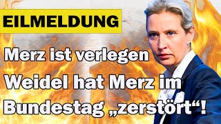 Weidel hat Merz im Bundestag „zerstört“ Merz ist verlegen ALICE WEIDEL ist immer noch eiskalt 🔥 [upl. by Clover]