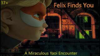 Miraculous ASMR Felix Finds You 17 Yaoi AU asmr miraculous [upl. by Peer784]