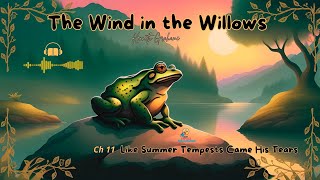 The Wind in the Willows  Ch 11  Like Summer Tempests Came His Tears  Kenneth Grahame  Audiostory [upl. by Hilbert177]