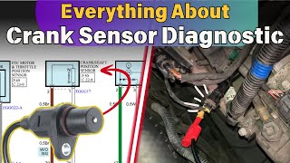 Everything About Crankshaft Sensor Diagnostic  Test Crank Sensor with Multimeter amp Oscilloscope [upl. by Abey270]