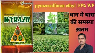 pyrazosulfuron ethyl 10 wp uses in hindipyrazosulfuron ethyl 10 wp uses in hindi dose [upl. by Airdni134]